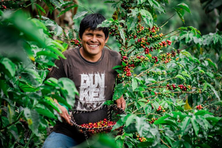 Agroexportaciones peruanas alcanzaron US$ 4,713 millones entre enero y mayo de 2026