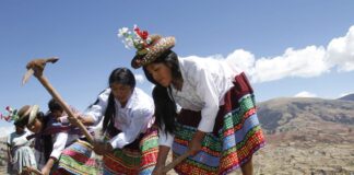 MIDAGRI proyecta más de 2 millones de hectáreas de siembra para la campaña agrícola 2026/2027 MIDAGRI proyecta más de 2 millones de hectáreas de siembra para la campaña agrícola 2026/2027