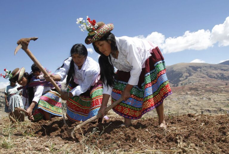 MIDAGRI proyecta más de 2 millones de hectáreas de siembra para la campaña agrícola 2026/2027