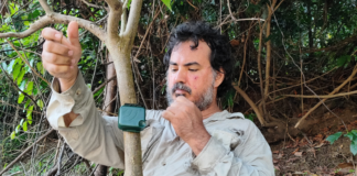 Científicos del IIAP utilizan inteligencia artificial para medir el impacto humano en la Amazonía Científicos del IIAP utilizan inteligencia artificial para medir el impacto humano en la Amazonía