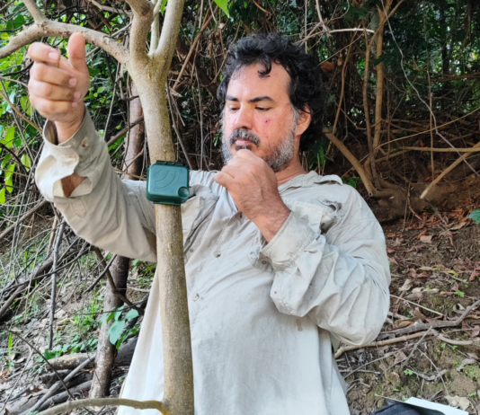 Científicos del IIAP utilizan inteligencia artificial para medir el impacto humano en la Amazonía Científicos del IIAP utilizan inteligencia artificial para medir el impacto humano en la Amazonía