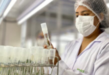 INIA alcanza el segundo lugar entre las instituciones peruanas en el SCImago Institutions Rankings 2026 INIA alcanza el segundo lugar entre las instituciones peruanas en el SCImago Institutions Rankings 2026