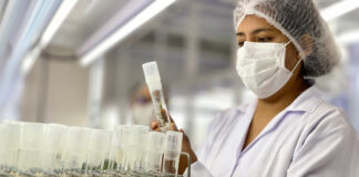 INIA alcanza el segundo lugar entre las instituciones peruanas en el SCImago Institutions Rankings 2026 INIA alcanza el segundo lugar entre las instituciones peruanas en el SCImago Institutions Rankings 2026