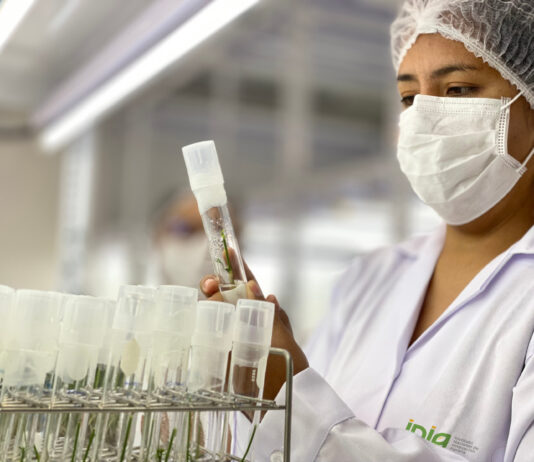 INIA alcanza el segundo lugar entre las instituciones peruanas en el SCImago Institutions Rankings 2026 INIA alcanza el segundo lugar entre las instituciones peruanas en el SCImago Institutions Rankings 2026
