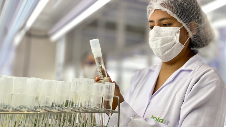 INIA alcanza el segundo lugar entre las instituciones peruanas en el SCImago Institutions Rankings 2026