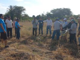 Productores de Tambogrande reciben capacitación para mejorar la siembra de maíz Productores de Tambogrande reciben capacitación para mejorar la siembra de maíz