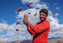 Midagri entrega tractores agrícolas para fortalecer el cultivo de papa en Apurímac Midagri entrega tractores agrícolas para fortalecer el cultivo de papa en Apurímac
