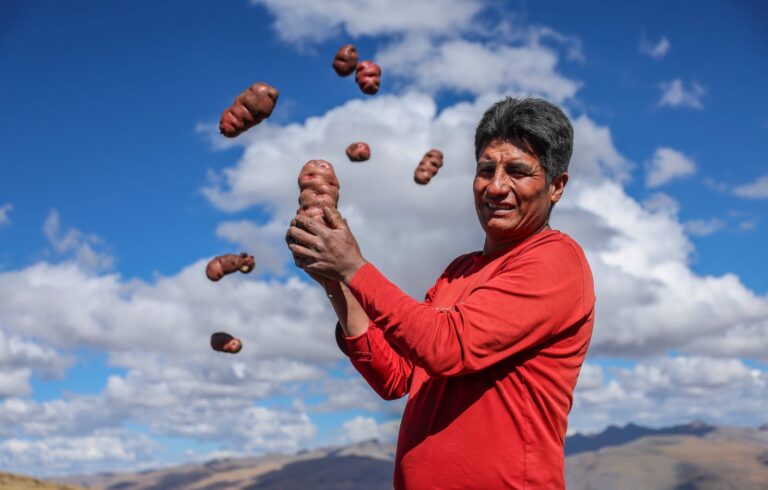 Midagri entrega tractores agrícolas para fortalecer el cultivo de papa en Apurímac