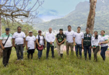 Proyecto de reforestación en Tingo María avanza para fortalecer la seguridad hídrica