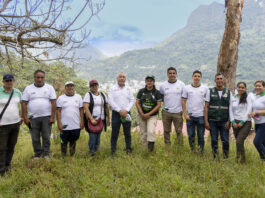 Proyecto de reforestación en Tingo María avanza para fortalecer la seguridad hídrica