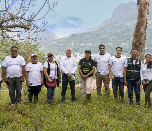 Proyecto de reforestación en Tingo María avanza para fortalecer la seguridad hídrica