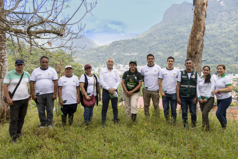 Proyecto de reforestación en Tingo María avanza para fortalecer la seguridad hídrica