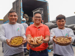 Productores del VRAEM concretan venta de 48 toneladas de cúrcuma valorizadas en S/ 377,100 Productores del VRAEM concretan venta de 48 toneladas de cúrcuma valorizadas en S/ 377,100
