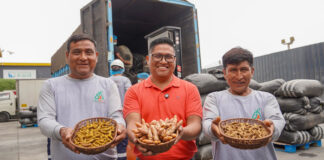 Productores del VRAEM concretan venta de 48 toneladas de cúrcuma valorizadas en S/ 377,100 Productores del VRAEM concretan venta de 48 toneladas de cúrcuma valorizadas en S/ 377,100