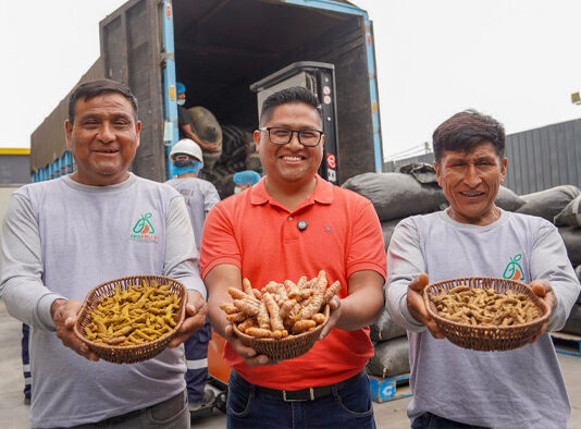 Productores del VRAEM concretan venta de 48 toneladas de cúrcuma valorizadas en S/ 377,100 Productores del VRAEM concretan venta de 48 toneladas de cúrcuma valorizadas en S/ 377,100