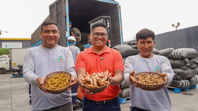 Productores del VRAEM concretan venta de 48 toneladas de cúrcuma valorizadas en S/ 377,100 Productores del VRAEM concretan venta de 48 toneladas de cúrcuma valorizadas en S/ 377,100