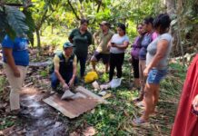 INIA fortalece la producción de cacao orgánico en Chanchamayo con transferencia de tecnología