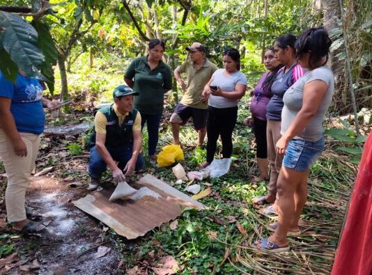 INIA fortalece la producción de cacao orgánico en Chanchamayo con transferencia de tecnología
