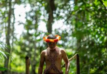 Expertos analizarán en Lima nuevas estrategias de financiamiento para proteger la Amazonía Expertos analizarán en Lima nuevas estrategias de financiamiento para proteger la Amazonía