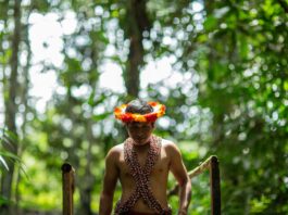 Expertos analizarán en Lima nuevas estrategias de financiamiento para proteger la Amazonía Expertos analizarán en Lima nuevas estrategias de financiamiento para proteger la Amazonía