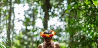 Expertos analizarán en Lima nuevas estrategias de financiamiento para proteger la Amazonía Expertos analizarán en Lima nuevas estrategias de financiamiento para proteger la Amazonía