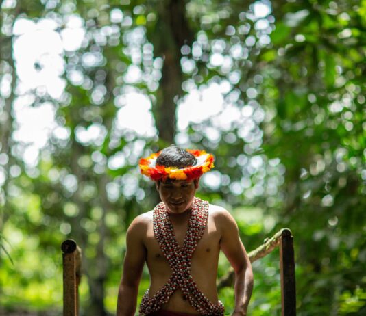 Expertos analizarán en Lima nuevas estrategias de financiamiento para proteger la Amazonía Expertos analizarán en Lima nuevas estrategias de financiamiento para proteger la Amazonía