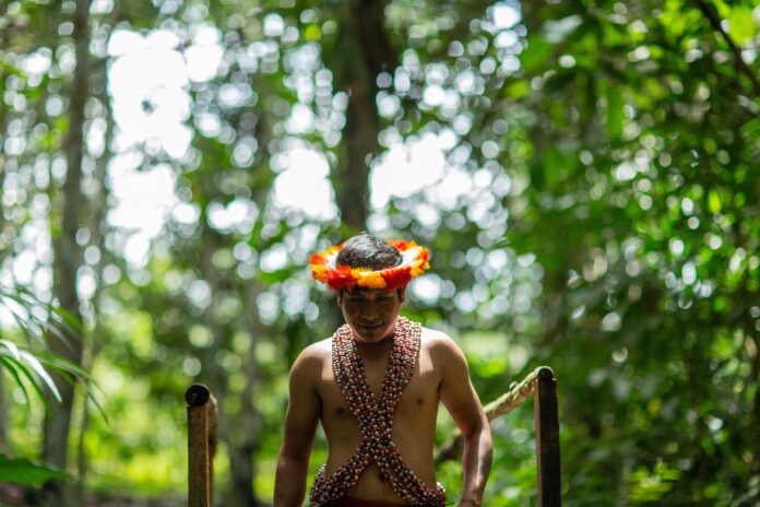 Expertos analizarán en Lima nuevas estrategias de financiamiento para proteger la Amazonía