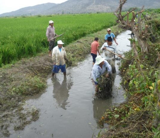 Fenómeno El Niño: productores agrarios solicitan reforzar las acciones de prevención Fenómeno El Niño: productores agrarios solicitan reforzar las acciones de prevención