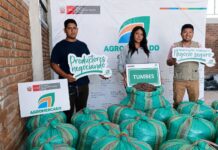 Tumbes: Productores de Zarumilla exportan cacao orgánico a Francia y reabren mercado europeo Tumbes: Productores de Zarumilla exportan cacao orgánico a Francia y reabren mercado europeo
