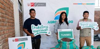 Tumbes: Productores de Zarumilla exportan cacao orgánico a Francia y reabren mercado europeo Tumbes: Productores de Zarumilla exportan cacao orgánico a Francia y reabren mercado europeo