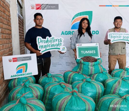 Tumbes: Productores de Zarumilla exportan cacao orgánico a Francia y reabren mercado europeo Tumbes: Productores de Zarumilla exportan cacao orgánico a Francia y reabren mercado europeo