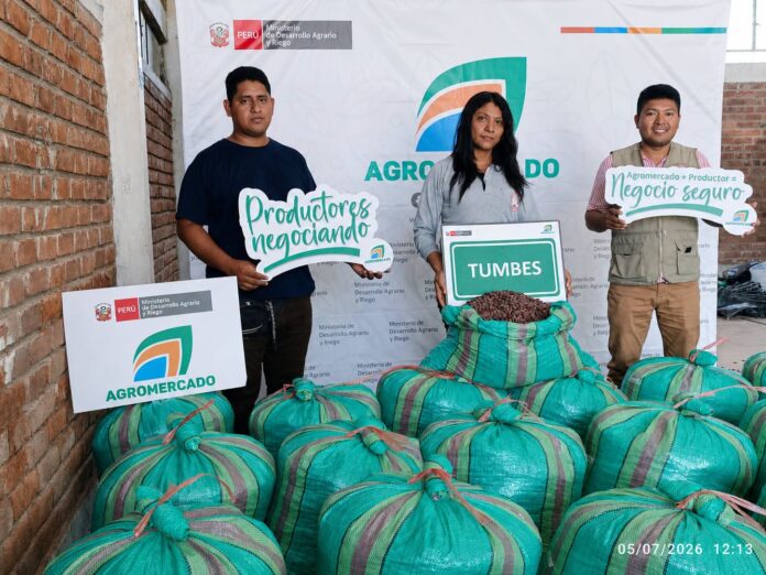 Tumbes: Productores de Zarumilla exportan cacao orgánico a Francia y reabren mercado europeo