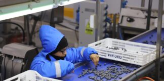 ADEX advierte que el Fenómeno de El Niño ya afecta las agroexportaciones del Perú ADEX advierte que el Fenómeno de El Niño ya afecta las agroexportaciones del Perú