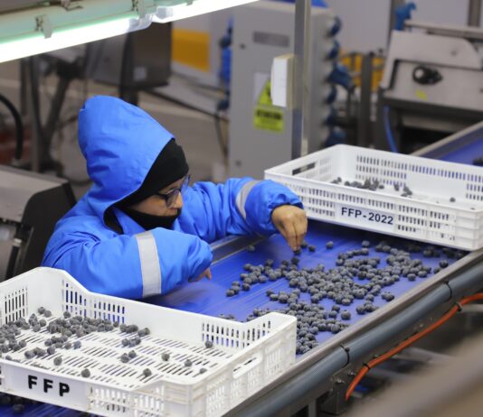 ADEX advierte que el Fenómeno de El Niño ya afecta las agroexportaciones del Perú ADEX advierte que el Fenómeno de El Niño ya afecta las agroexportaciones del Perú