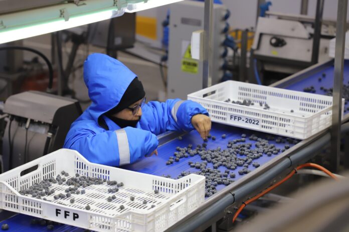 ADEX advierte que el Fenómeno de El Niño ya afecta las agroexportaciones del Perú