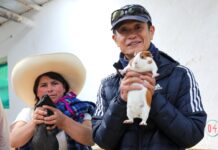 Metodología japonesa SHEP llega a Cajamarca para impulsar la agricultura orientada al mercado Metodología japonesa SHEP llega a Cajamarca para impulsar la agricultura orientada al mercado