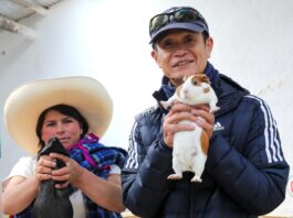 Metodología japonesa SHEP llega a Cajamarca para impulsar la agricultura orientada al mercado Metodología japonesa SHEP llega a Cajamarca para impulsar la agricultura orientada al mercado