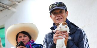 Metodología japonesa SHEP llega a Cajamarca para impulsar la agricultura orientada al mercado Metodología japonesa SHEP llega a Cajamarca para impulsar la agricultura orientada al mercado