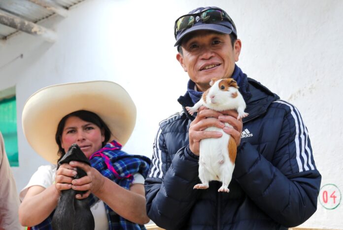 Metodología japonesa SHEP llega a Cajamarca para impulsar la agricultura orientada al mercado