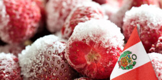 Mercado global de fresa congelada abre nuevas oportunidades para los productores peruanos Mercado global de fresa congelada abre nuevas oportunidades para los productores peruanos