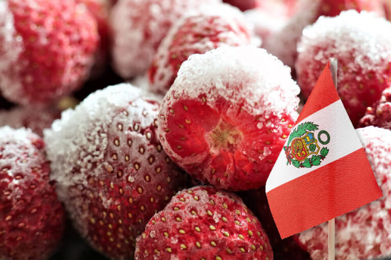 Mercado global de fresa congelada abre nuevas oportunidades para los productores peruanos