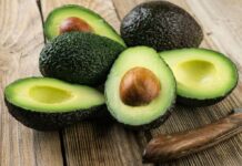 Exportaciones de palta peruana superan los US$ 1.115 millones en el primer semestre de 2026 Exportaciones de palta peruana superan los US$ 1.115 millones en el primer semestre de 2026