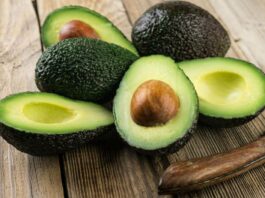 Exportaciones de palta peruana superan los US$ 1.115 millones en el primer semestre de 2026 Exportaciones de palta peruana superan los US$ 1.115 millones en el primer semestre de 2026