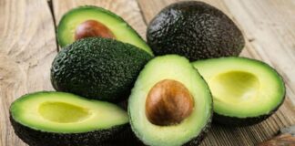 Exportaciones de palta peruana superan los US$ 1.115 millones en el primer semestre de 2026 Exportaciones de palta peruana superan los US$ 1.115 millones en el primer semestre de 2026