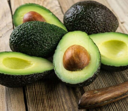 Exportaciones de palta peruana superan los US$ 1.115 millones en el primer semestre de 2026 Exportaciones de palta peruana superan los US$ 1.115 millones en el primer semestre de 2026