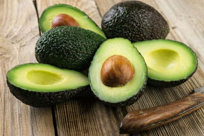 Exportaciones de palta peruana superan los US$ 1.115 millones en el primer semestre de 2026 Exportaciones de palta peruana superan los US$ 1.115 millones en el primer semestre de 2026
