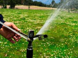 Riego tecnificado beneficiará a más de 1,300 familias agricultoras en el país Riego tecnificado beneficiará a más de 1,300 familias agricultoras en el país