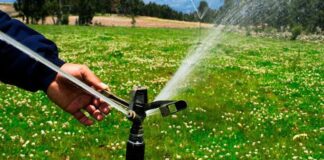 Riego tecnificado beneficiará a más de 1,300 familias agricultoras en el país Riego tecnificado beneficiará a más de 1,300 familias agricultoras en el país