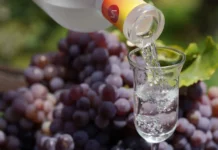 Producción de pisco en Perú aumenta 24.28 % en los primeros cinco meses de 2026 Producción de pisco en Perú aumenta 24.28 % en los primeros cinco meses de 2026