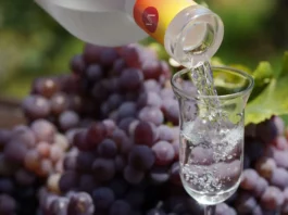 Producción de pisco en Perú aumenta 24.28 % en los primeros cinco meses de 2026 Producción de pisco en Perú aumenta 24.28 % en los primeros cinco meses de 2026